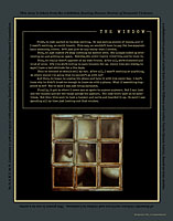 The Window